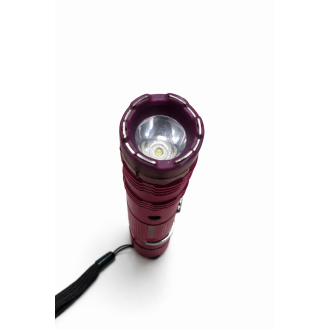 Paralyzér s baterkou FOX M11